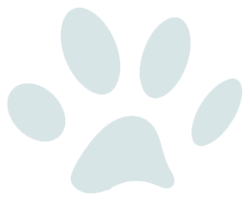 Paw Icon